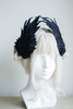Swan feathers A10