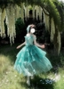 ( Pre Order ) Wisteria waterfall by Chenji Shi