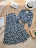 PRINDS -BLUE