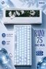 Bàn Phím Cơ Rainy75 Bạc Giới Hạn – Anode 220 Mesh Cao Cấp | Switch Snow-top | Keycap Mờ Trong Suốt