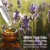 Nước xả vải Downy hương hoa Oải Hương nước Pháp