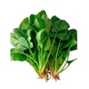 RCVN - CẢI BÓ XÔI HƯỚNG HỮU CƠ 250G