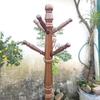 Walnut