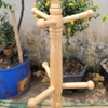Tự nhiên