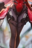 MÔ HÌNH C.C.CHALCOSOMA - (Caucasus Beetle) - 1/7 Complete Figure (HOWLING STAR) FIGURE CHÍNH HÃNG