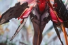 MÔ HÌNH C.C.CHALCOSOMA - (Caucasus Beetle) - 1/7 Complete Figure (HOWLING STAR) FIGURE CHÍNH HÃNG