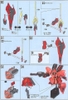 Mô Hình Lắp Ráp Gundam HG UC 1/144 SAZABI của Bandai nhật bản