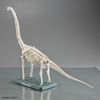 Mô Hình Lắp Ráp Khủng Long PLANNOSAURUS Brachiosaurus của Bandai Nhật bản