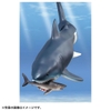 Mô Hình Động Vật Ania AL-11 Megalodon Floating Ver - Cá Mập Khổng Lồ của TAKARA TOMY