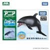Mô hình động vật Cá heo ANIA AS-19 Dolphin 615446 Fullbox Chính hãng TakaraTomy
