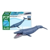 Mô Hình Động Vật Ania AL-23 Blue Whale Floating Ver - Cá Voi của TAKARA TOMY
