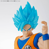 Mô hình lắp Ráp ENTRY GRADE SUPER SAIYAN GOD SUPER SAIYAN SON GOKU của Bandai nhật