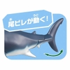 Mô Hình Động Vật Ania AL-11 Megalodon Floating Ver - Cá Mập Khổng Lồ của TAKARA TOMY