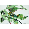 (HÀNG SẴN GIAO NGAY) Mô hình ráp sẵn Metal Build NZ-666 Kshatriya - MC Gatling Twin set của MC model