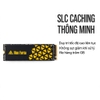 Ổ cứng SSD gắn trong Neo Forza NFP495 PcIe Gen 4 Dung Lượng 500GB