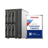 Combo thiết bị lưu trữ DAS TerraMaster D6-320 và ổ cứng HDD Toshiba MG dung lượng 4TB