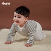 Noah Bodysuit