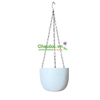 trang