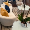 ghế sofa cong