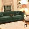 sofa băng xanh lá