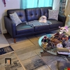 W1 Ghế sofa băng sang trọng BT73 Canape 2m da công nghiệp