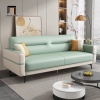 A3 Ghế sofa giường hiện đại GB110 Uniao 2m phối màu da trẻ trung