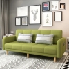 sofa giường xanh lá