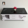 bàn sofa giá rẻ 1m x 50