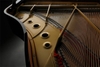 kawai-gl-10