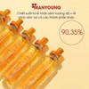 Rễ nhân sâm hoang dã Manyoung