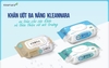 Kleannara Multi-Purpose Wet Wipes With Mint Essence 70 Sheets