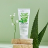 Arranhan Aloe Vera
