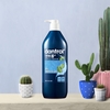 Dantrol Cooling Menthol Water Shampoo (blue)