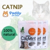 Cỏ Mèo Bạc Hà Catnip Cho Mèo