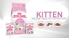 Thức Ăn Hạt Cho Mèo Con Royal Canin Kitten 36