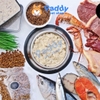 Pate TƯƠI The Pet Cho Chó Mèo Biếng Ăn (1kg) - Ship Now/Grab 2H
