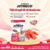 Pate Mèo Joyneco CattyMan Cá Tươi 60g
