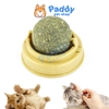 Viên Cỏ Mèo Xoay Gắn Tường Rotating Catnip