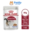 Pate Mèo Trưởng Thành Royal Canin Instinctive 85g