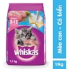 Thức ăn cho mèo con Whiskas Junior gói