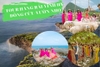 Tour Hang Rái - Vĩnh Hy - Đồng Cừu - Vườn Nho [Giá Sốc 590k]