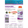 YUCCA GRO - Hấp thụ khí độc, cấp cứu cá nổi đầu