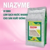 NIAZYME - Vi sinh làm sạch nước nhanh cho sản xuất giống tôm