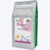 BIOLACT GOLD - Vi sinh và nấm men sống giúp tăng sức khỏe đường ruột, hấp thu thức ăn tốt