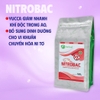 NITROBAC - Yucca giảm nhanh khí độc trong ao, bổ sung dinh dưỡng cho vi khuẩn chuyển hóa ni tơ