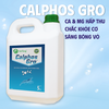 CALPHOS GRO - Kích thích lột xác đồng đều, cứng vỏ nhanh chóng