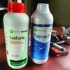 CANFORTA - Dinh dưỡng siêu tăng trọng tôm