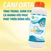 CANFORTA - Cung cấp vitamin và acid amin
