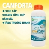 CANFORTA - Cung cấp vitamin hỗn hợp đậm đặc, tăng trọng nhanh