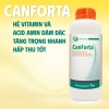CANFORTA - Sự kết hợp hoàn hảo vitamin dạng hấp thu cao giúp tôm tăng trọng nhanh
